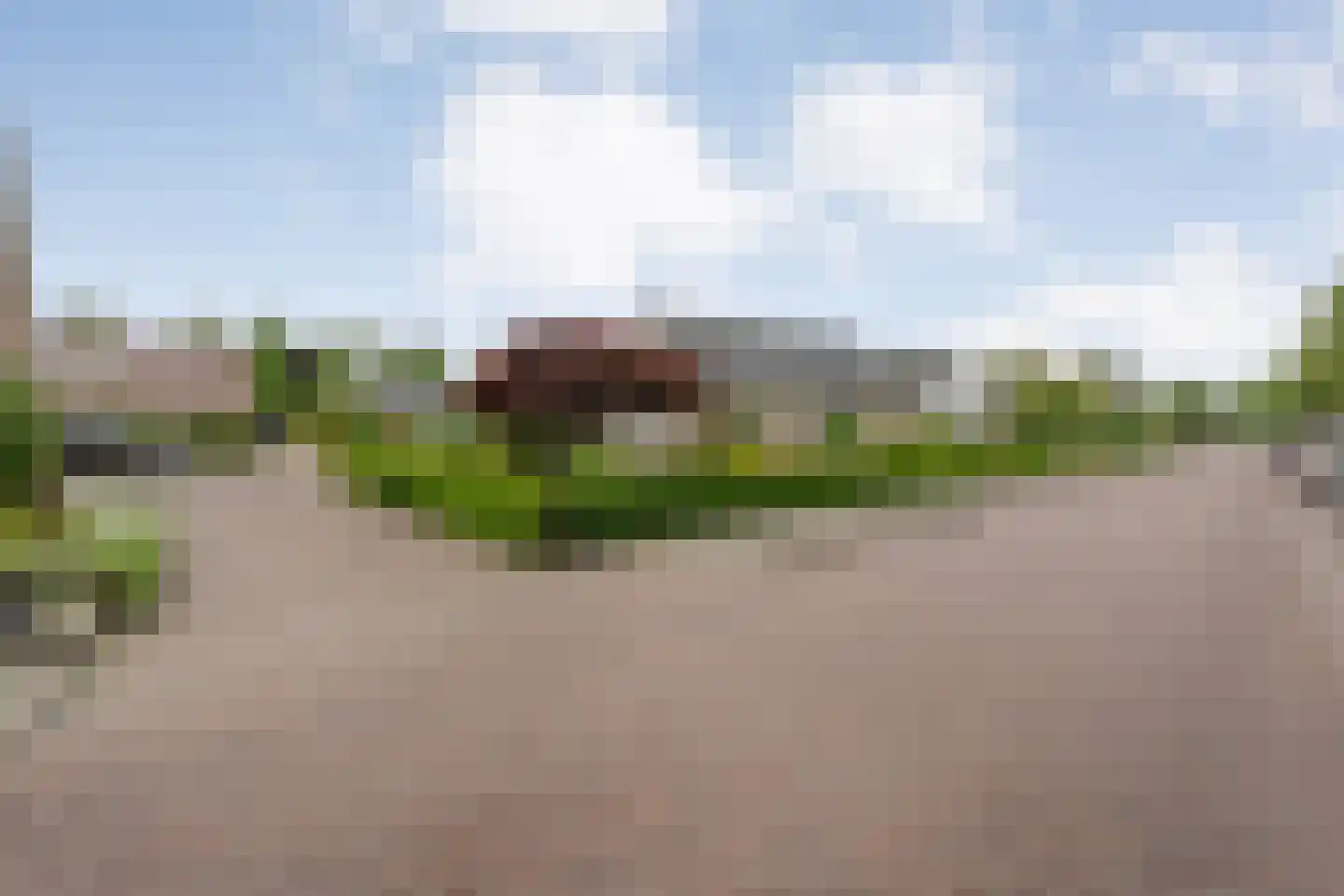 Ruigedoornstraat 17 Dalfsen thumbnail 49