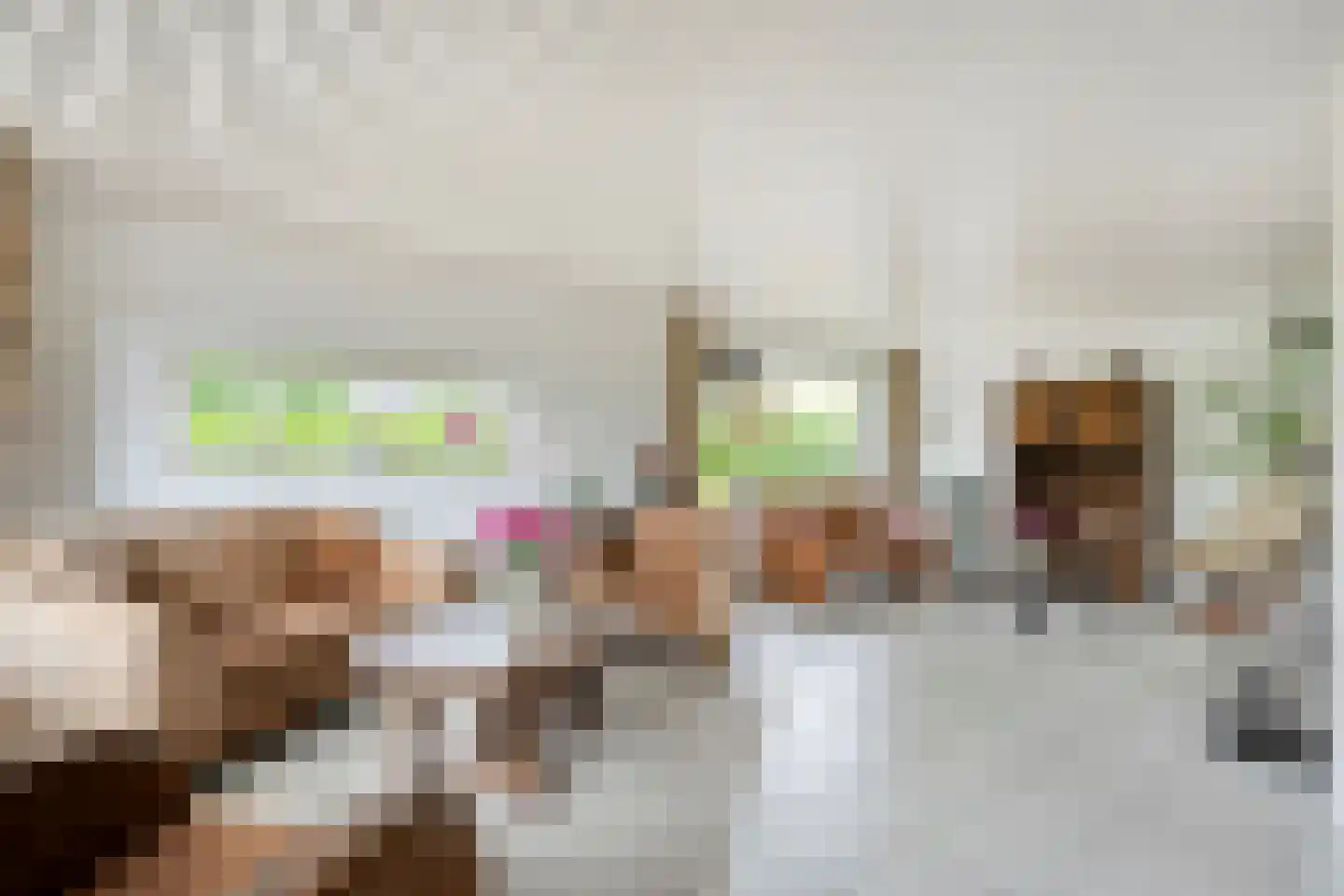 Ruigedoornstraat 17 Dalfsen thumbnail 5