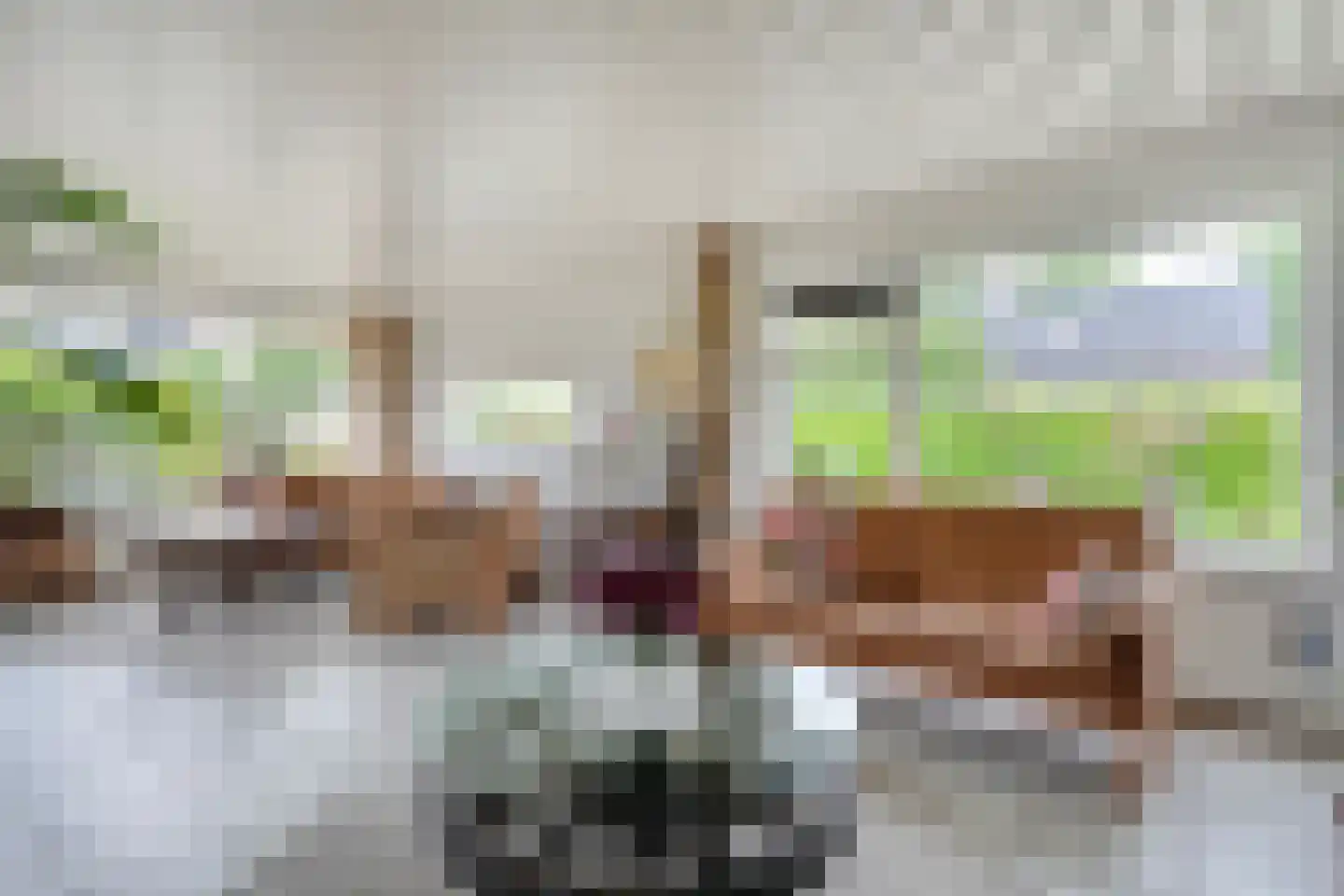 Ruigedoornstraat 17 Dalfsen thumbnail 6