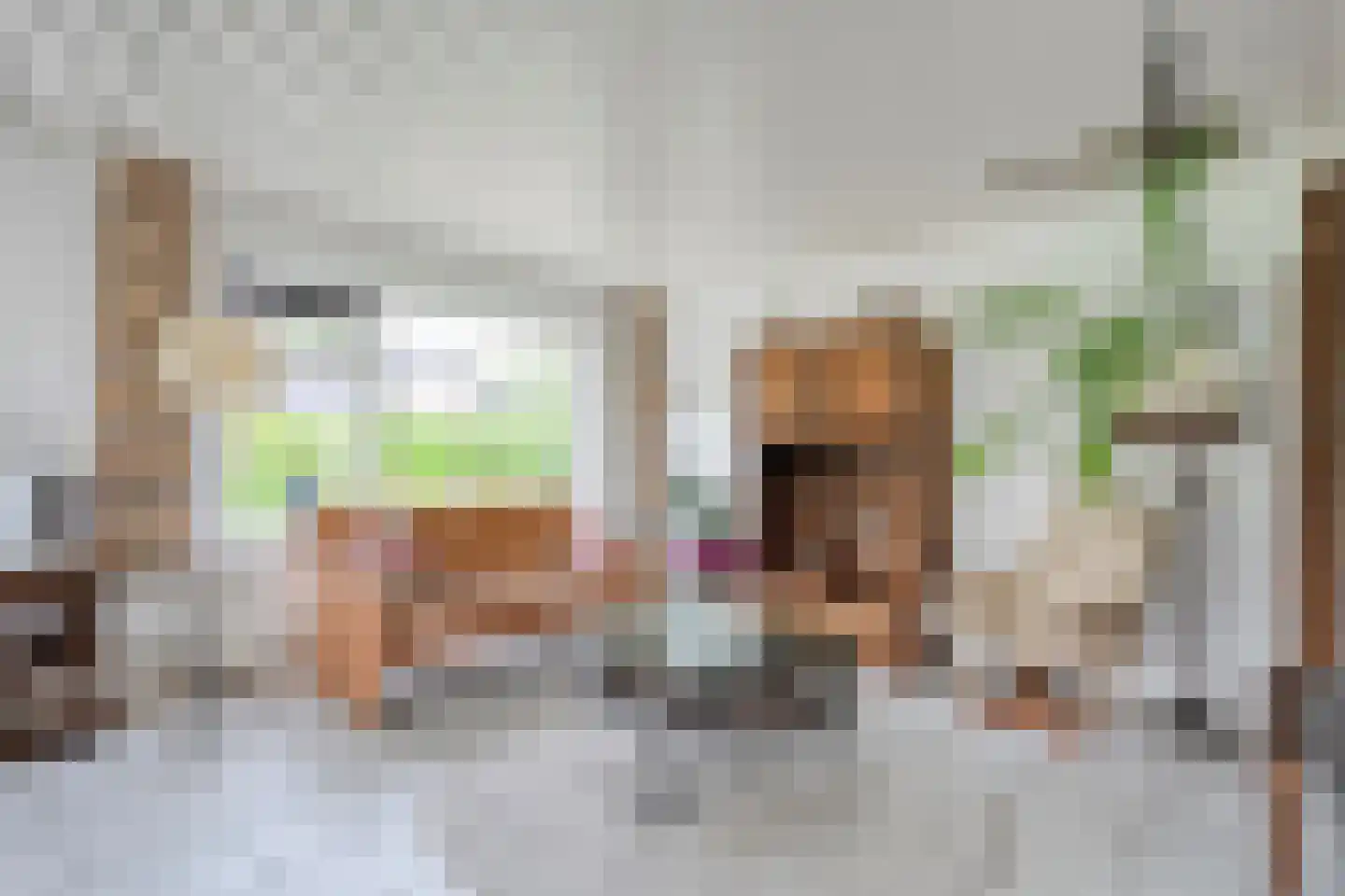 Ruigedoornstraat 17 Dalfsen thumbnail 7