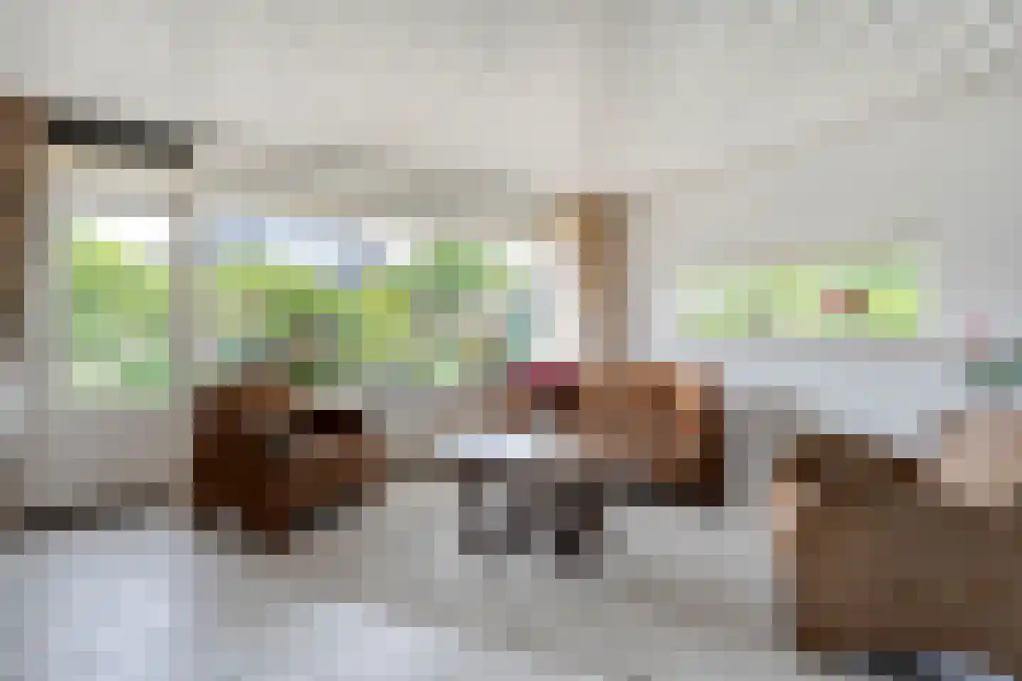 Ruigedoornstraat 17 Dalfsen thumbnail 8