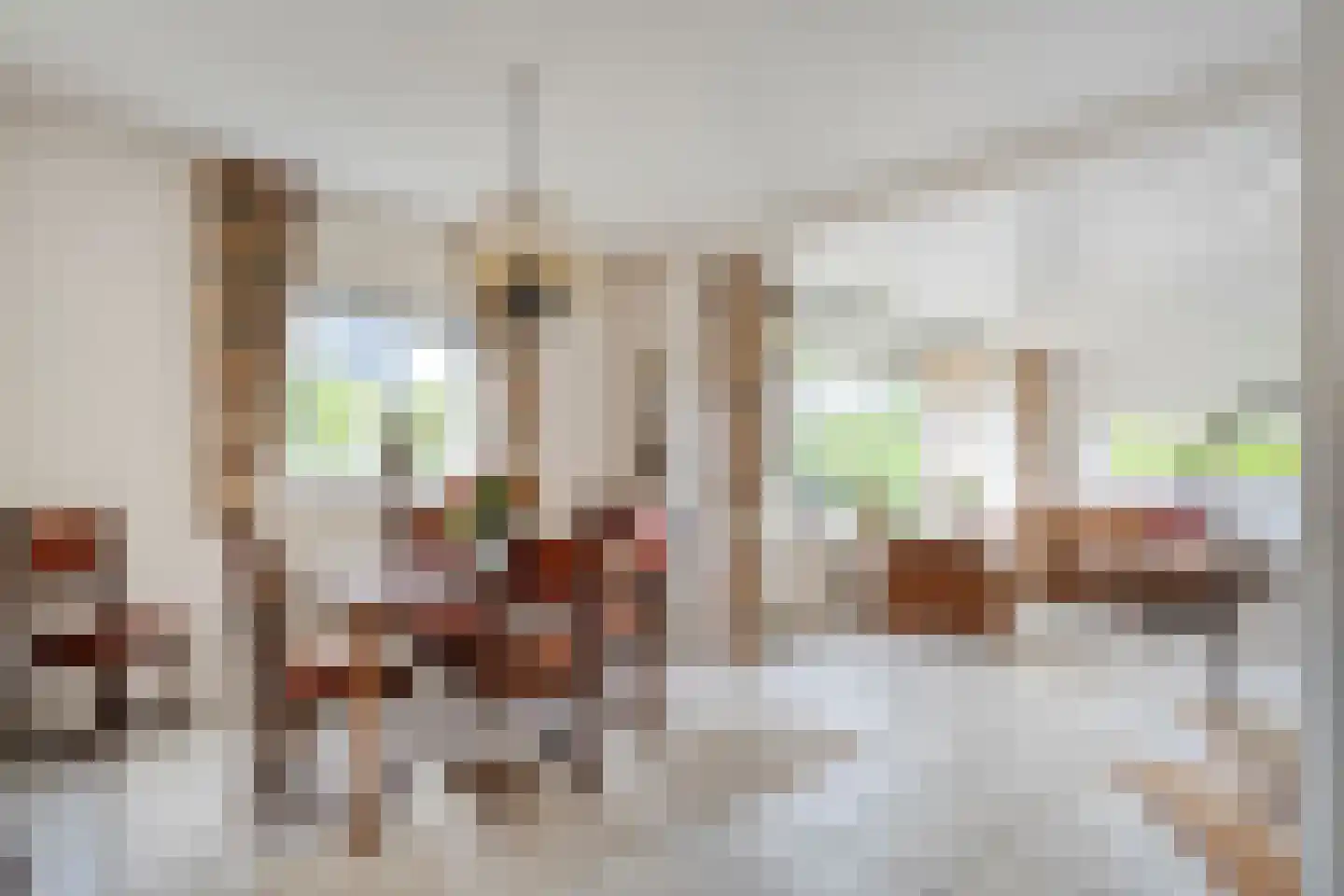 Ruigedoornstraat 17 Dalfsen thumbnail 9