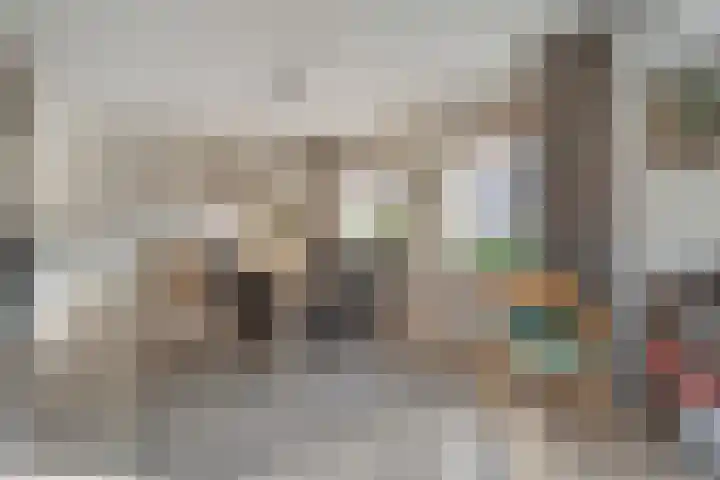 Ruigedoornstraat 19 Dalfsen thumbnail 15