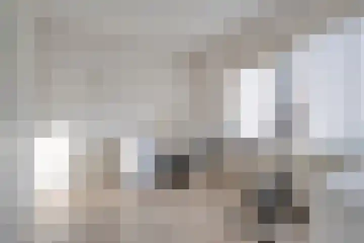 Ruigedoornstraat 19 Dalfsen thumbnail 20