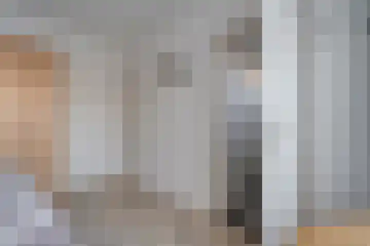 Ruigedoornstraat 19 Dalfsen thumbnail 22