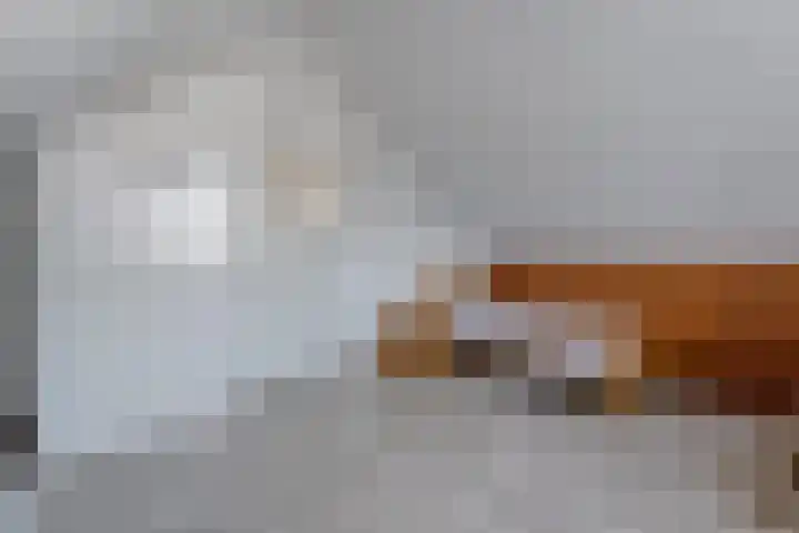 Ruigedoornstraat 19 Dalfsen thumbnail 28