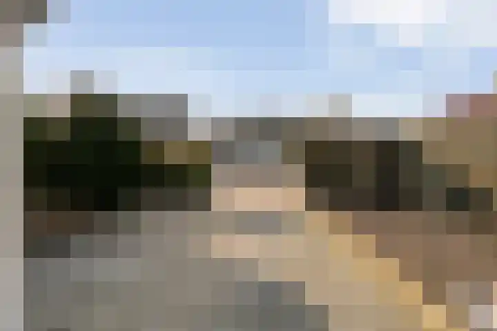 Ruigedoornstraat 19 Dalfsen thumbnail 34