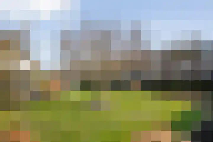 Ruigedoornstraat 19 Dalfsen thumbnail 38