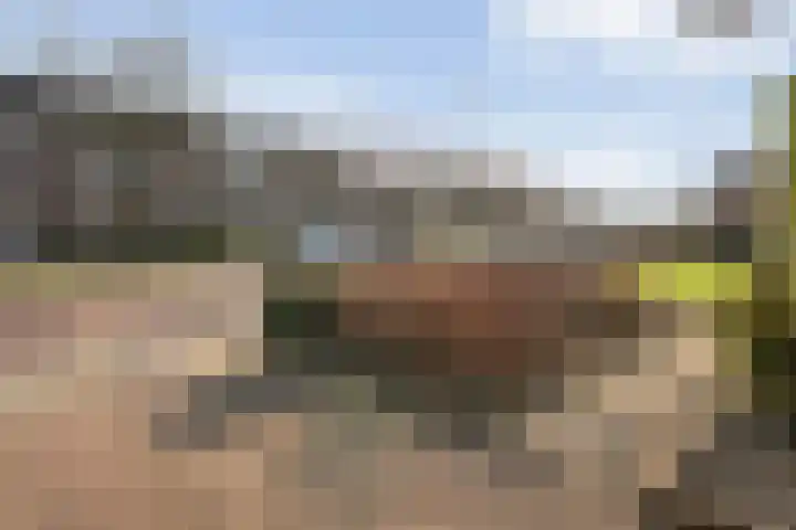 Ruigedoornstraat 19 Dalfsen thumbnail 39