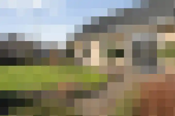 Ruigedoornstraat 19 Dalfsen thumbnail 6