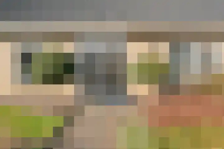 Ruigedoornstraat 19 Dalfsen thumbnail 7