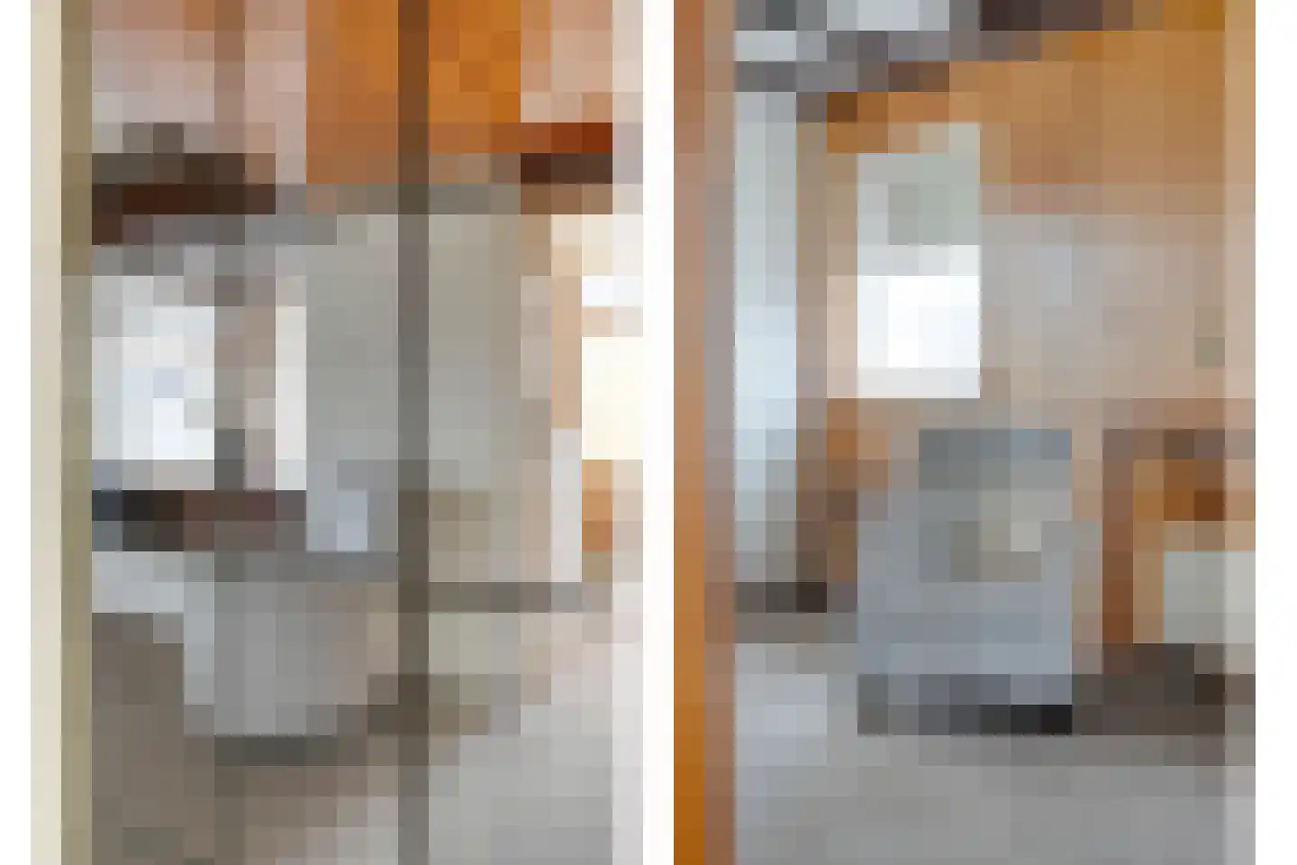 Ruigedoornstraat 22 Dalfsen thumbnail 10
