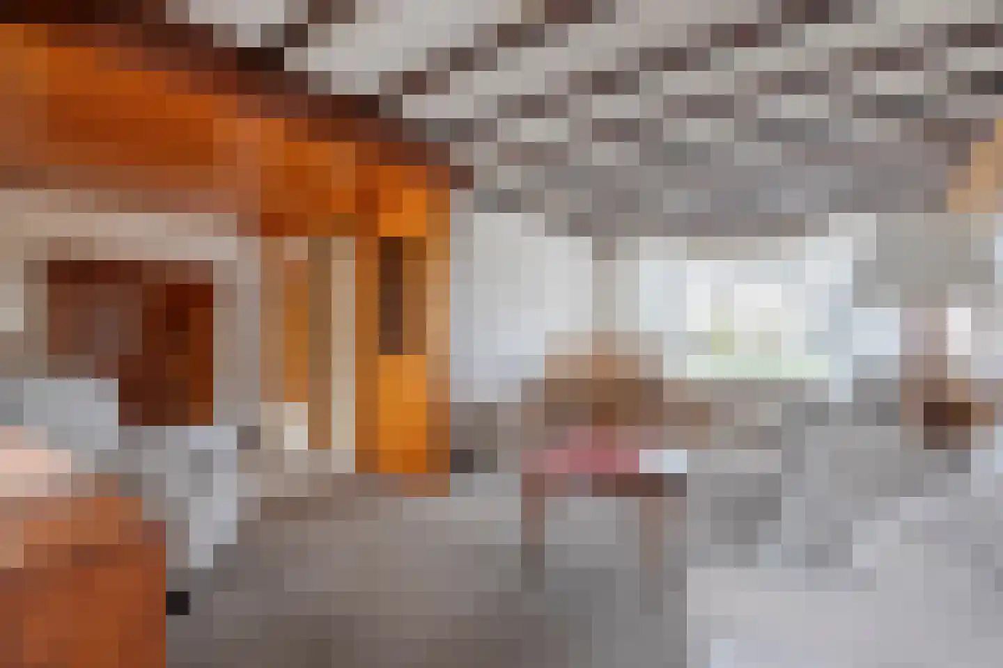 Ruigedoornstraat 22 Dalfsen thumbnail 13