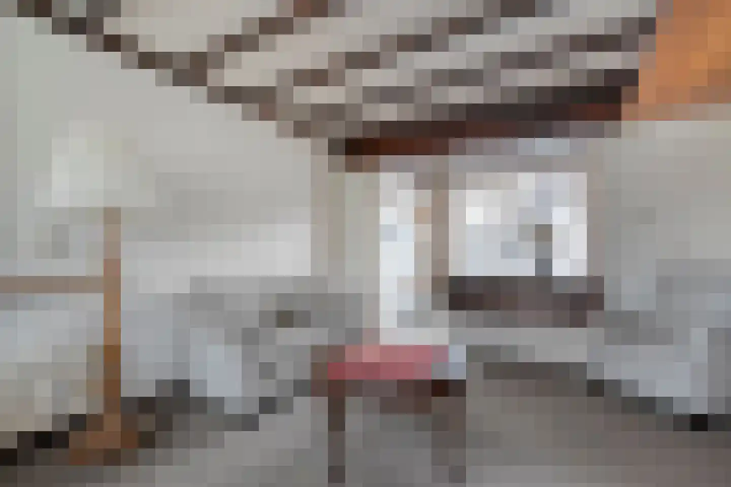 Ruigedoornstraat 22 Dalfsen thumbnail 14