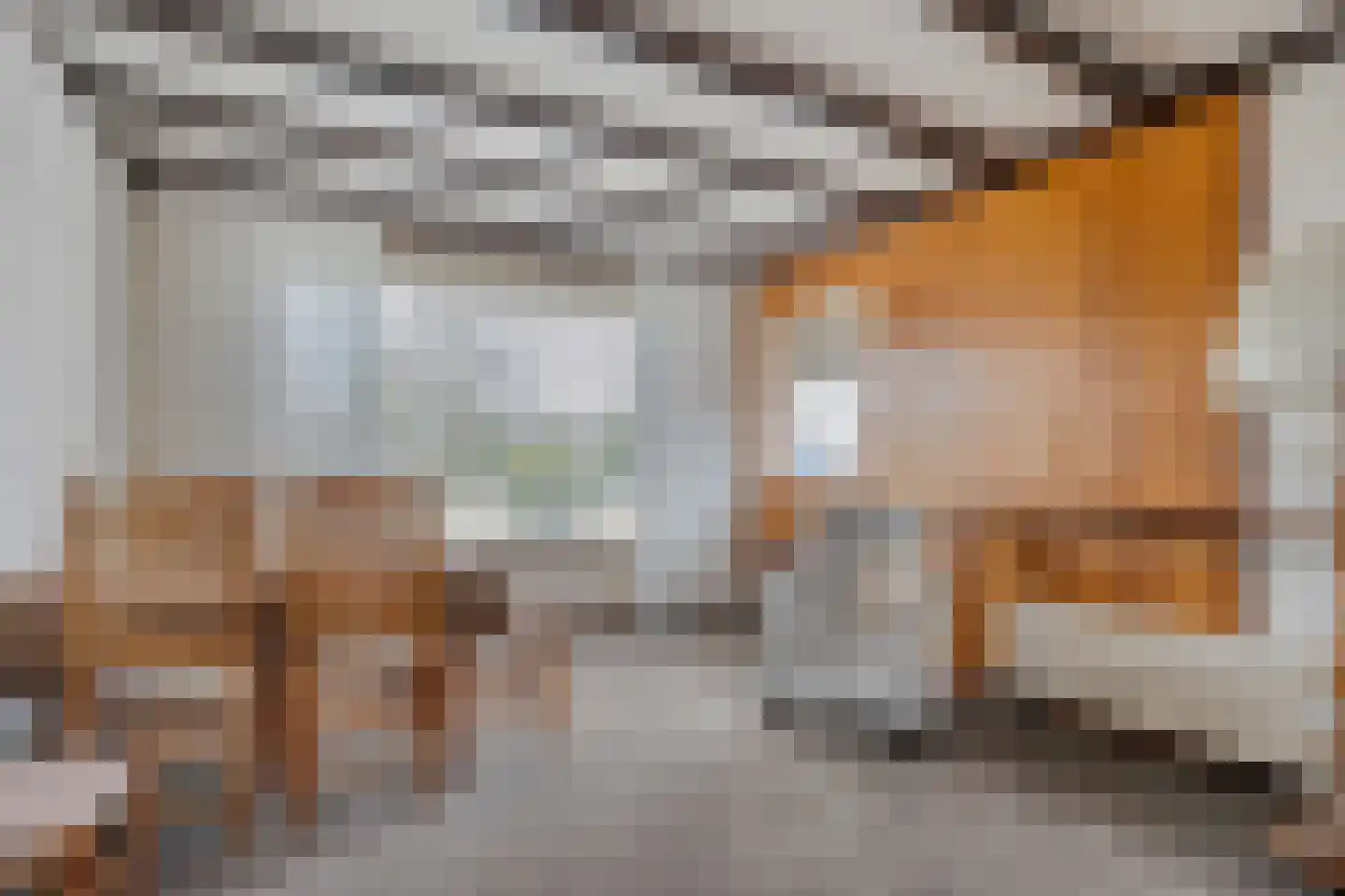 Ruigedoornstraat 22 Dalfsen thumbnail 15