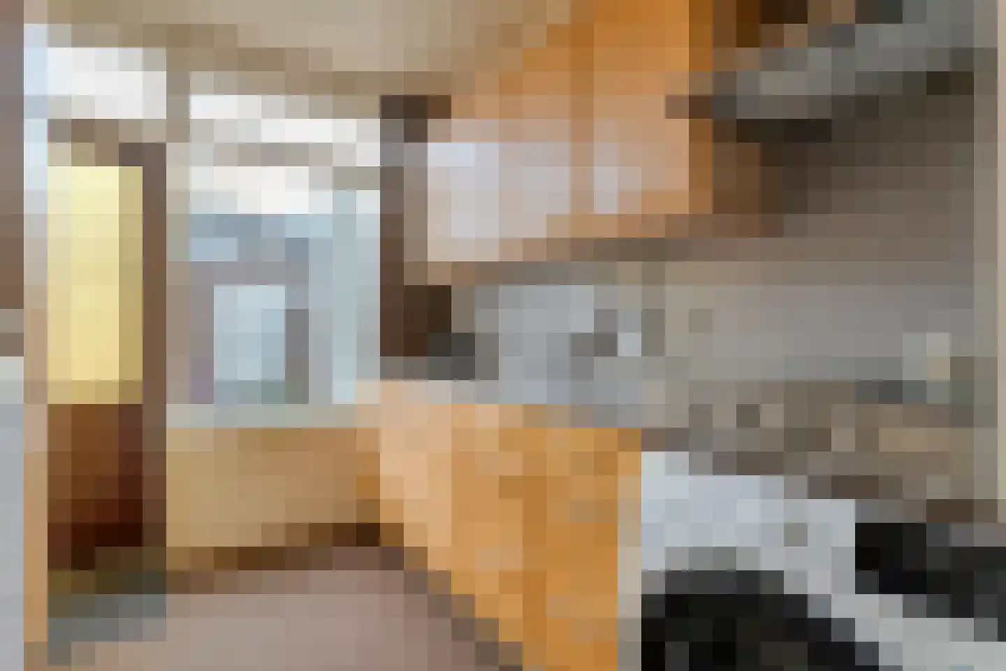 Ruigedoornstraat 22 Dalfsen thumbnail 19