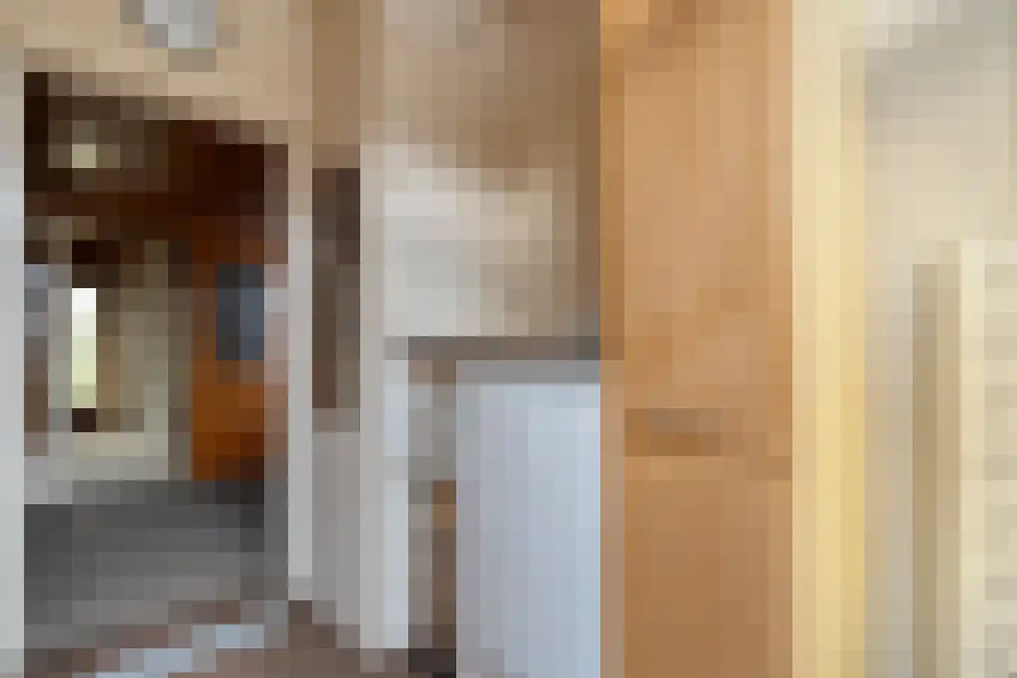 Ruigedoornstraat 22 Dalfsen thumbnail 20