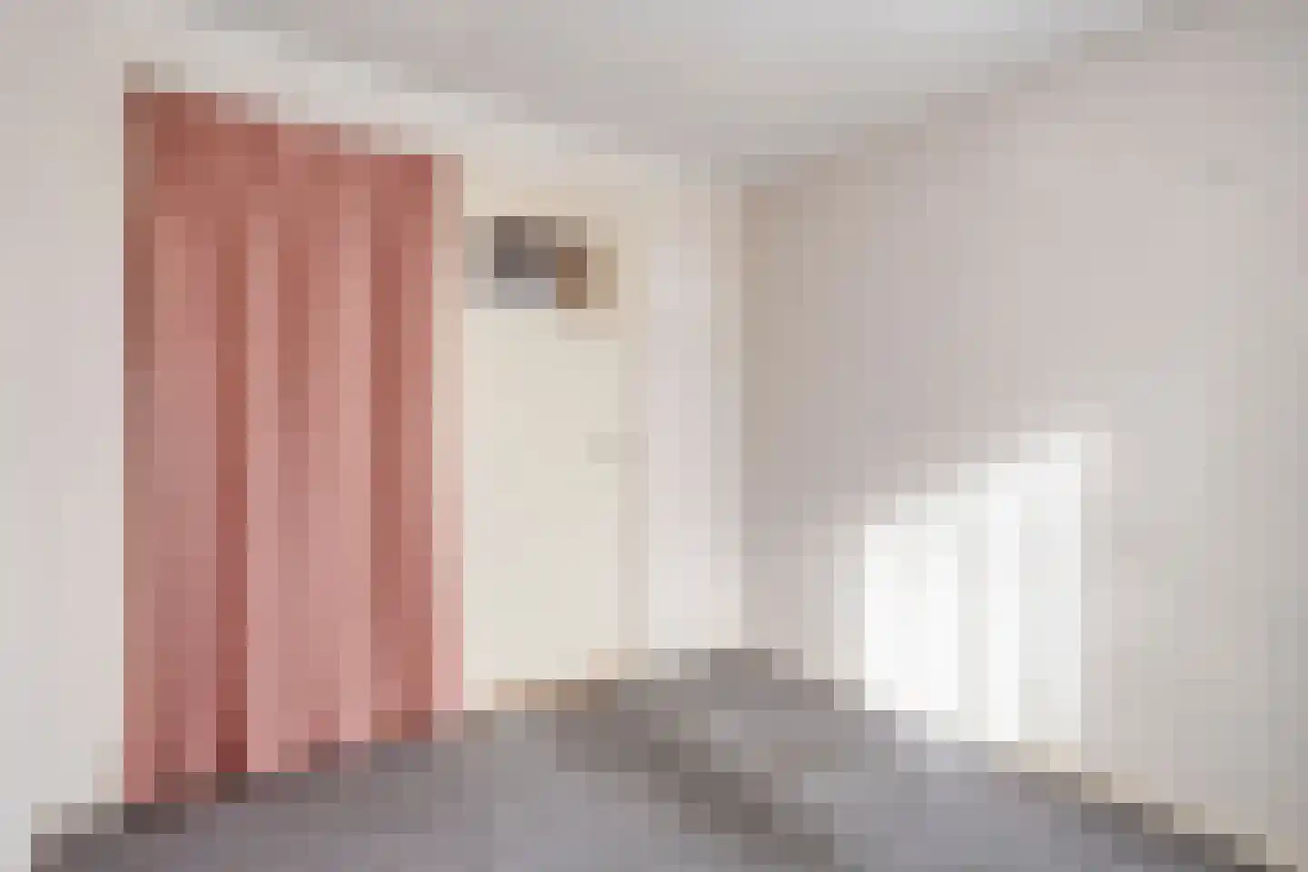 Ruigedoornstraat 22 Dalfsen thumbnail 25
