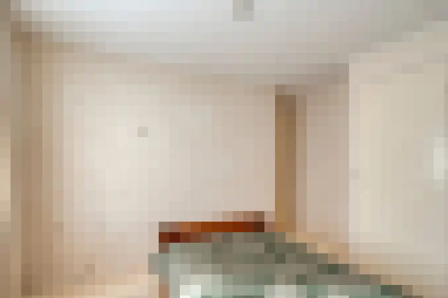 Ruigedoornstraat 22 Dalfsen thumbnail 27