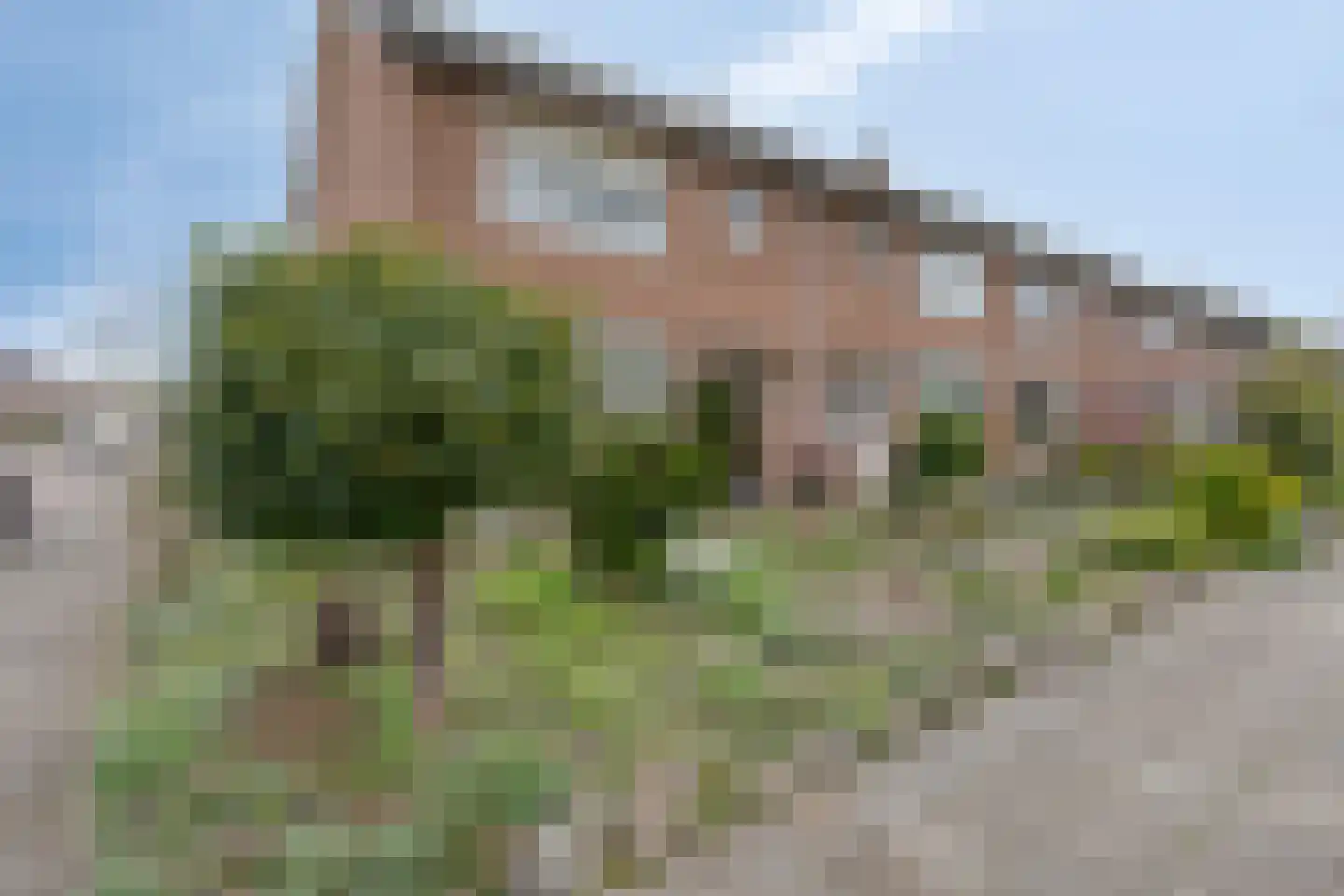 Ruigedoornstraat 22 Dalfsen foto 3
