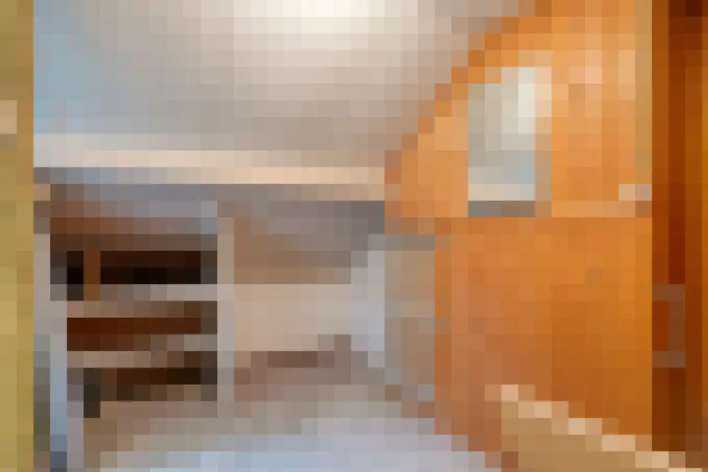 Ruigedoornstraat 22 Dalfsen thumbnail 32