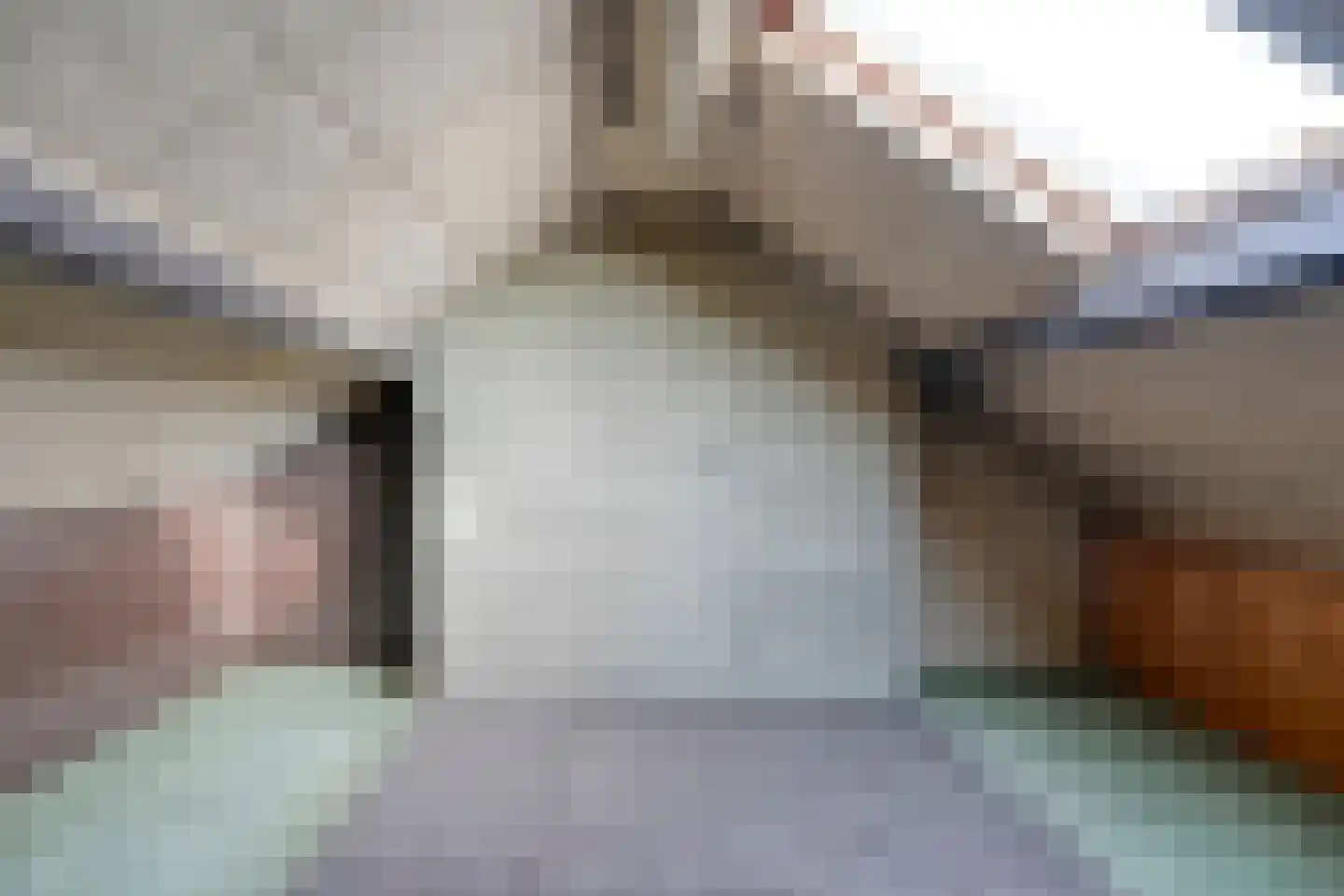 Ruigedoornstraat 22 Dalfsen thumbnail 33