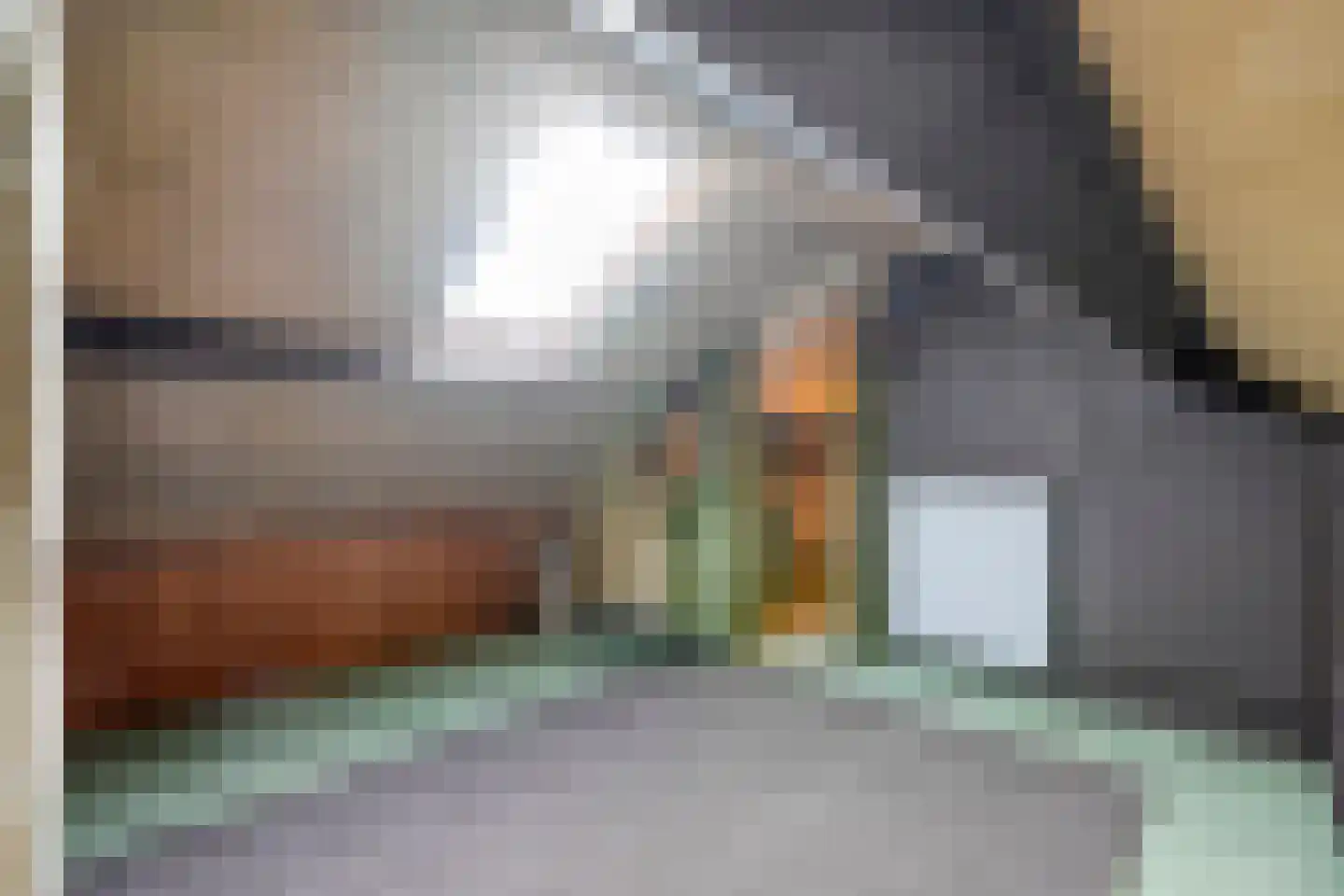 Ruigedoornstraat 22 Dalfsen thumbnail 34