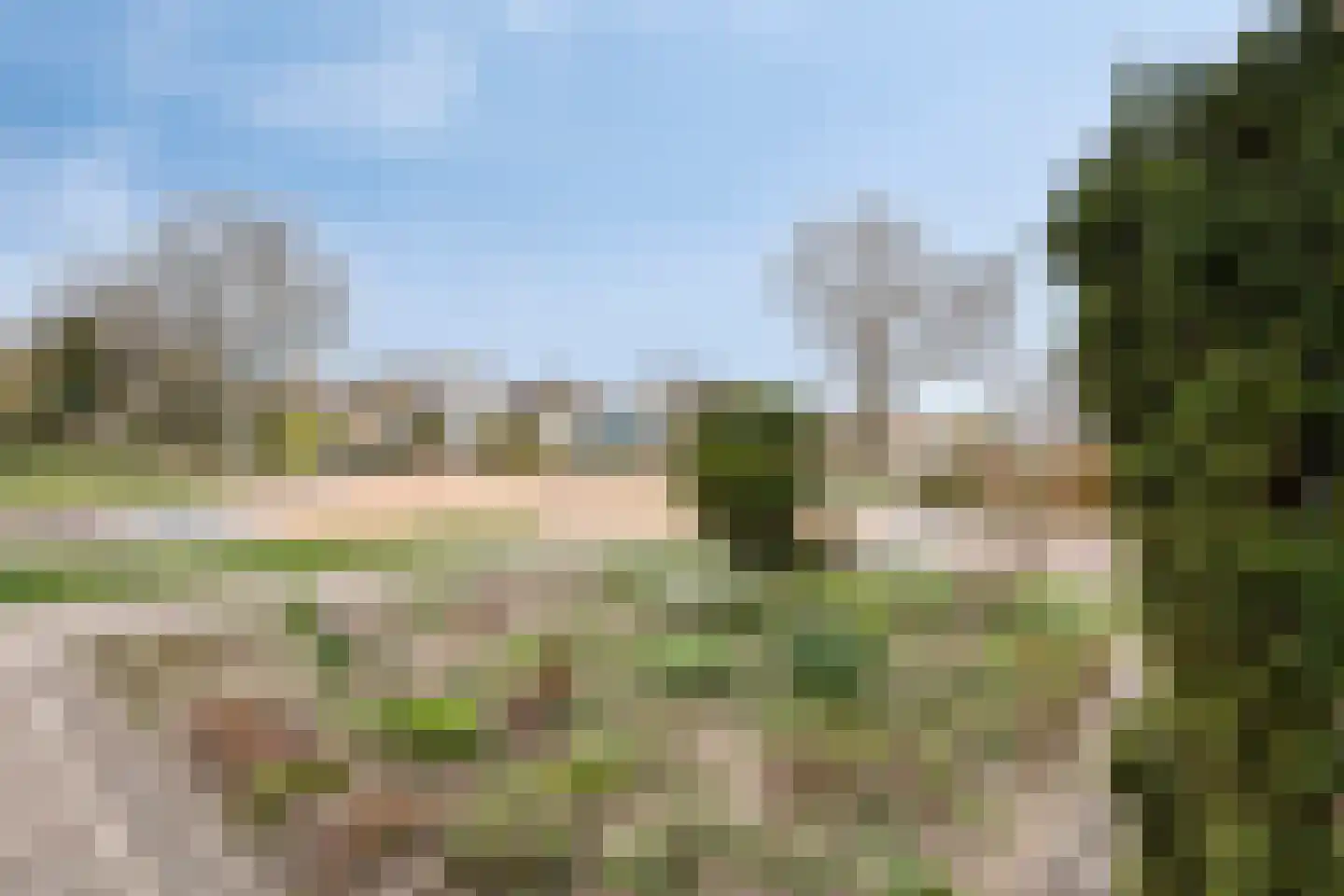 Ruigedoornstraat 22 Dalfsen thumbnail 41