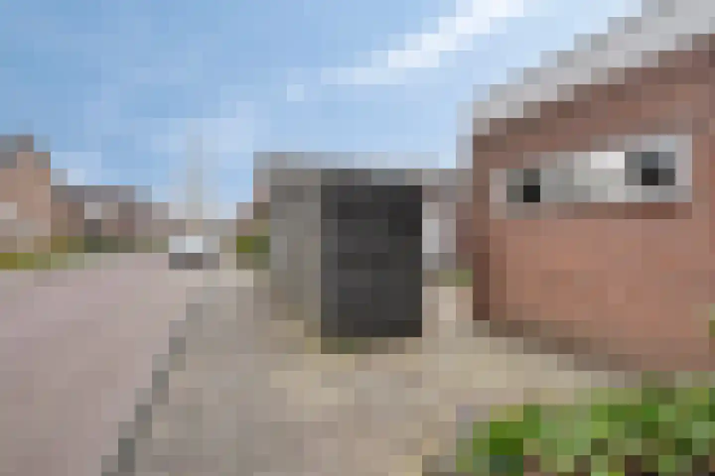 Ruigedoornstraat 22 Dalfsen thumbnail 42