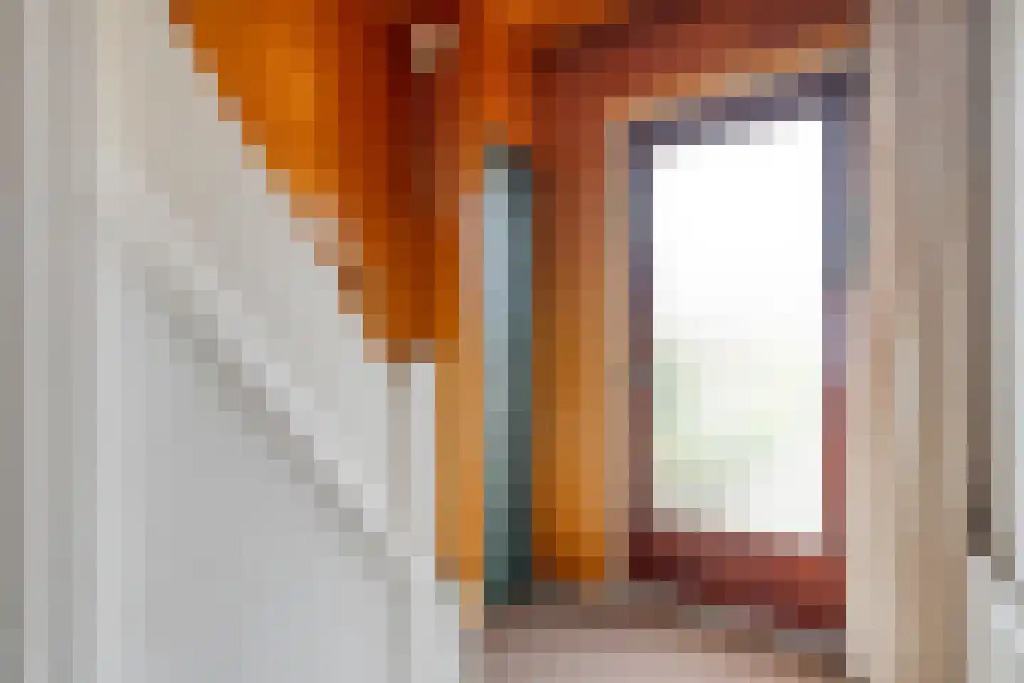 Ruigedoornstraat 22 Dalfsen thumbnail 8