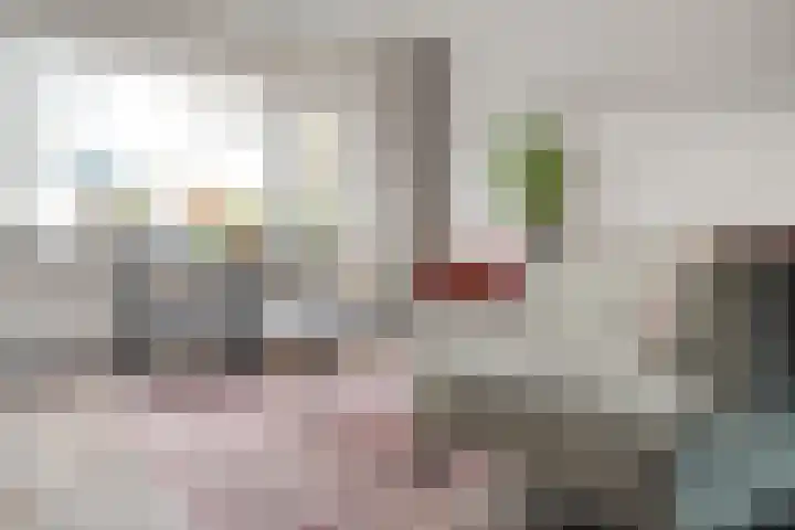 Ruigedoornstraat 60 Dalfsen thumbnail 10