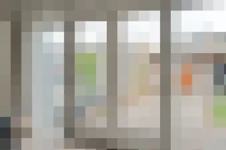 Ruigedoornstraat 60 Dalfsen thumbnail 18