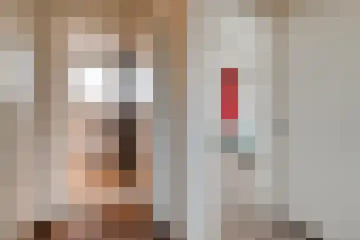 Ruigedoornstraat 60 Dalfsen thumbnail 22