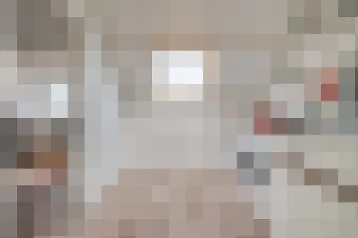 Ruigedoornstraat 60 Dalfsen thumbnail 32