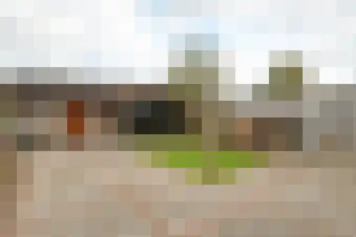 Ruigedoornstraat 60 Dalfsen thumbnail 36