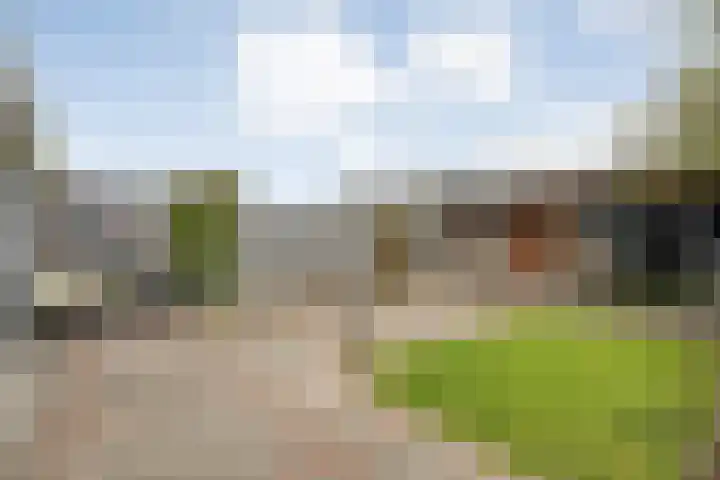 Ruigedoornstraat 60 Dalfsen thumbnail 37
