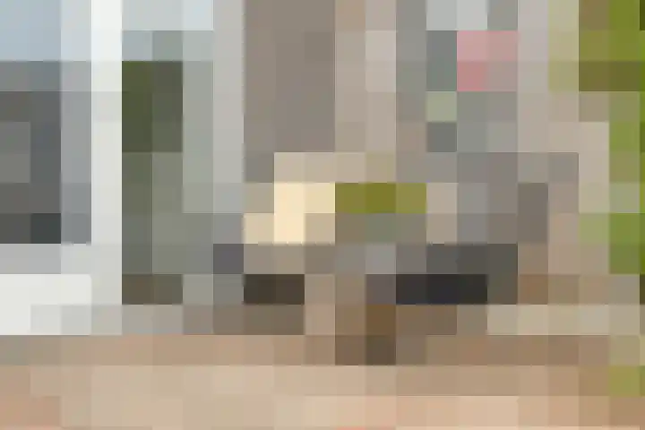 Ruigedoornstraat 60 Dalfsen thumbnail 38