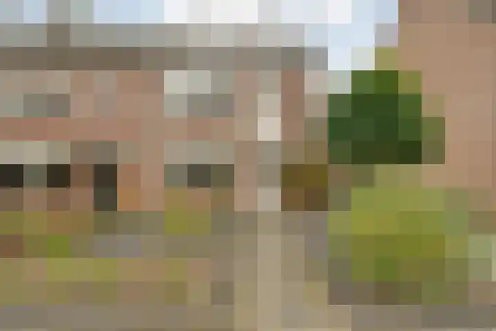 Ruigedoornstraat 60 Dalfsen thumbnail 4