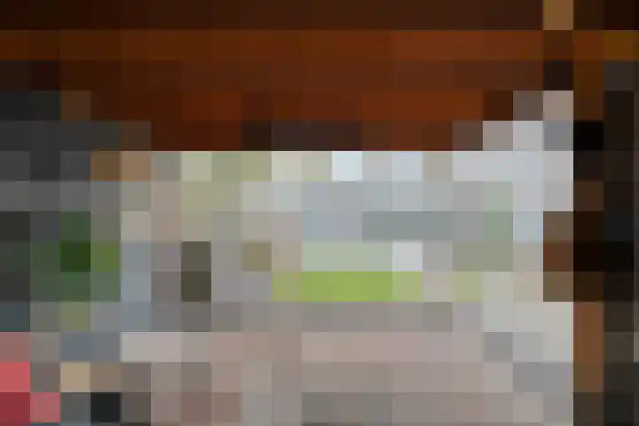 Ruigedoornstraat 60 Dalfsen thumbnail 40