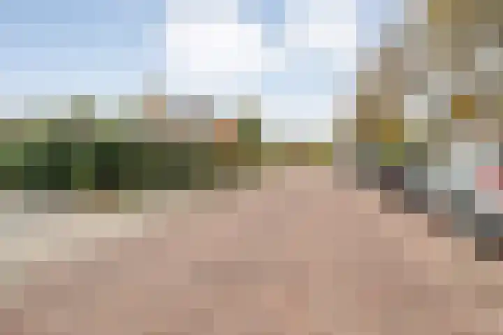 Ruigedoornstraat 60 Dalfsen thumbnail 42