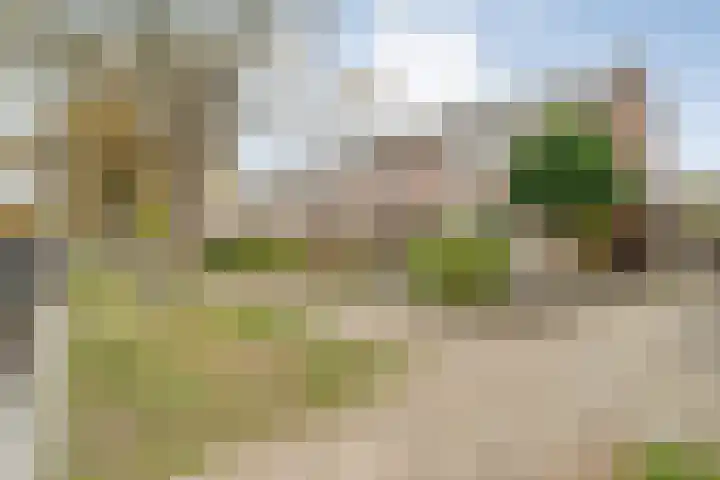 Ruigedoornstraat 60 Dalfsen thumbnail 5
