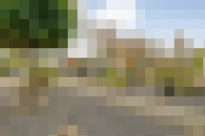 Ruigedoornstraat 60 Dalfsen thumbnail 6