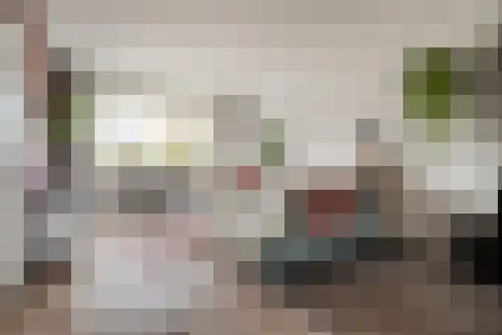 Ruigedoornstraat 60 Dalfsen thumbnail 9