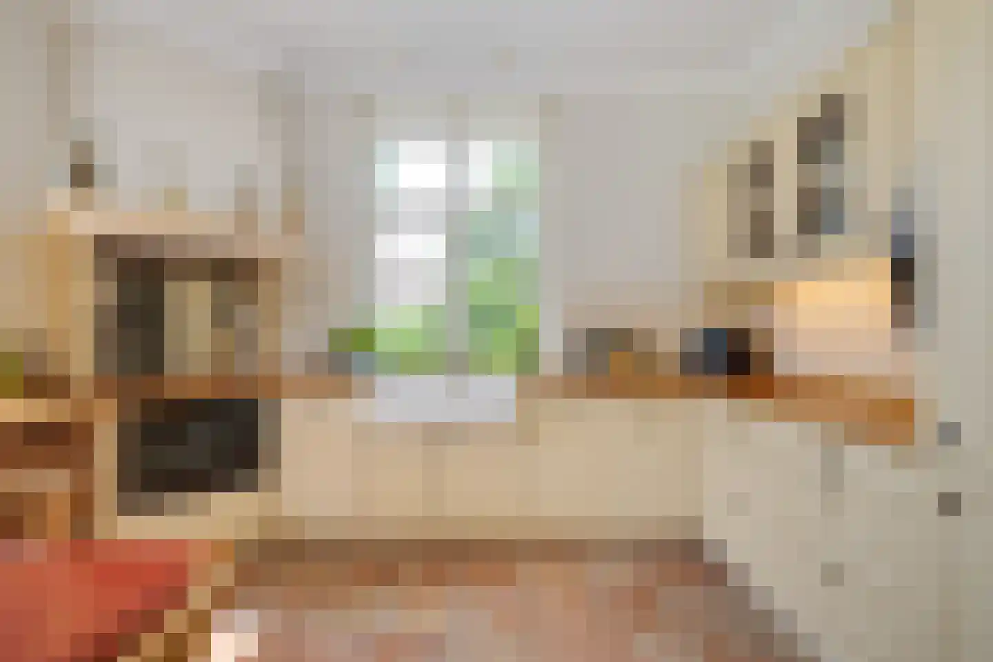 Ruigekade 1 Leiderdorp thumbnail 28
