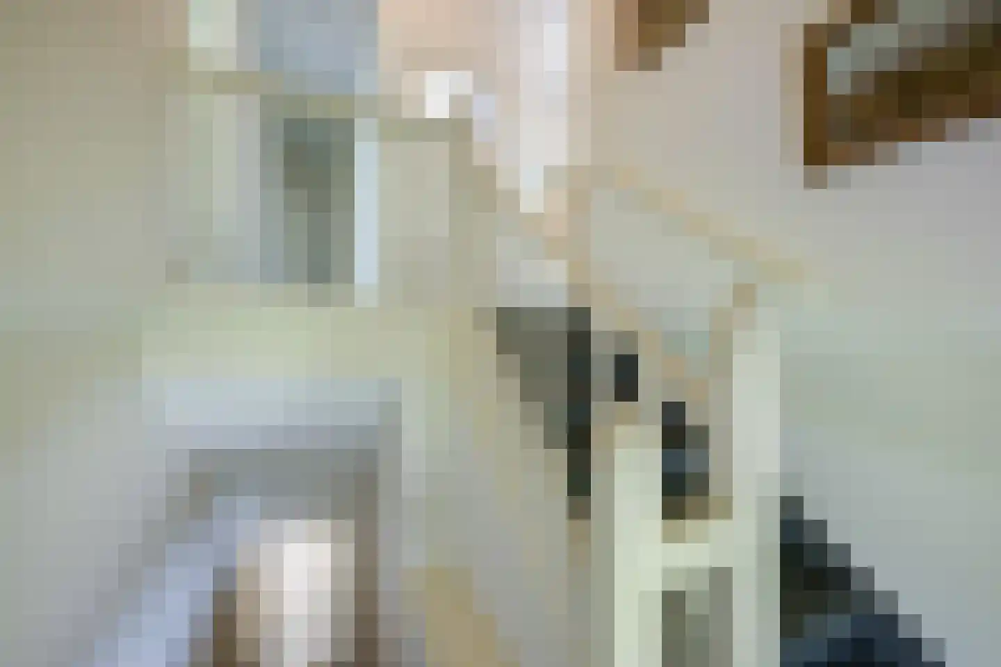 Ruigekade 1 Leiderdorp thumbnail 31
