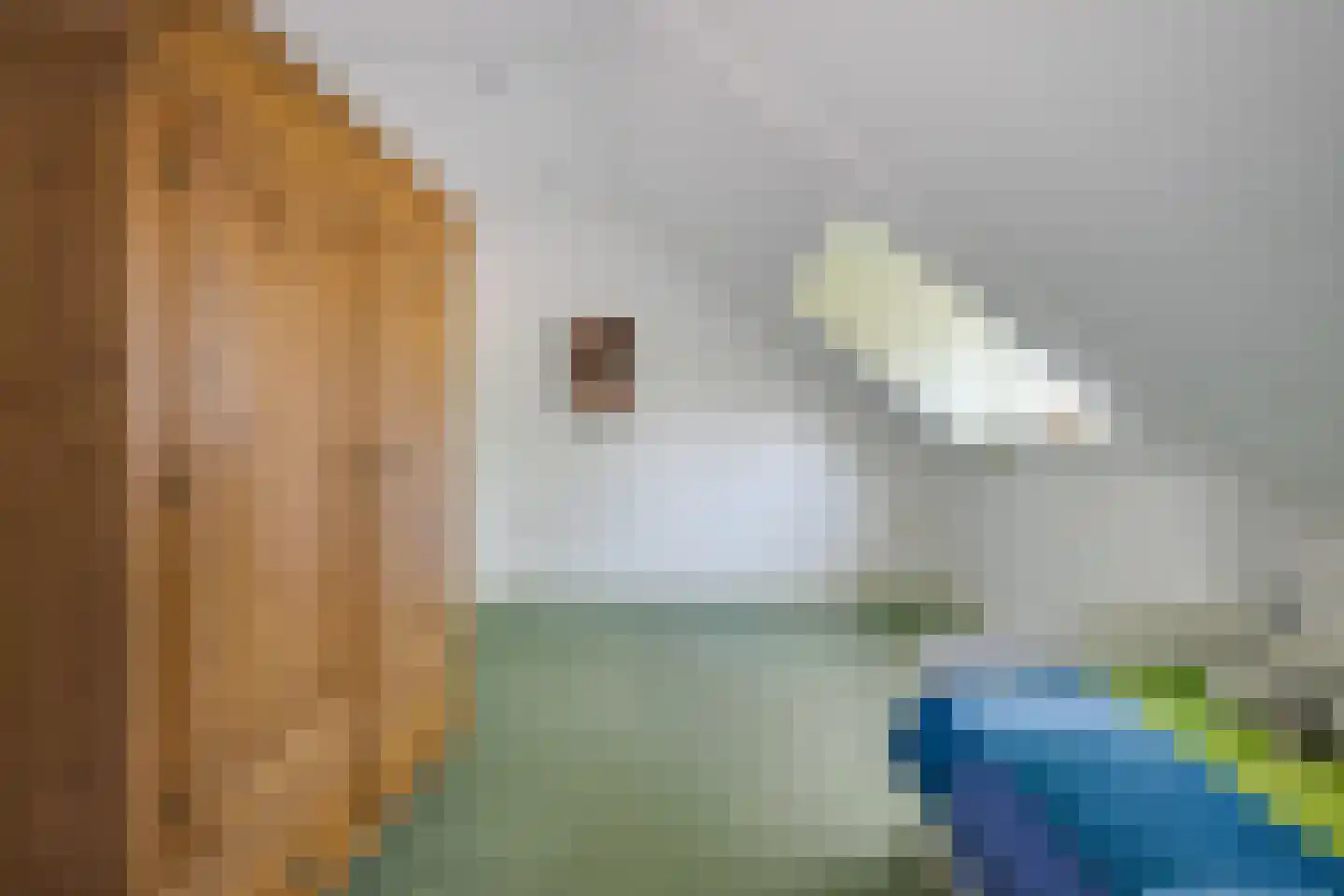Ruigekade 1 Leiderdorp thumbnail 35
