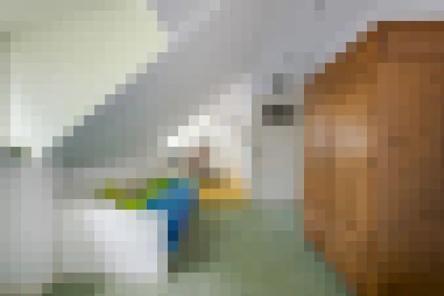 Ruigekade 1 Leiderdorp thumbnail 36