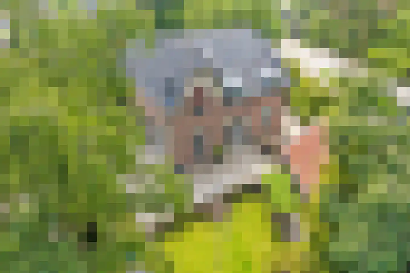 Ruigekade 1 Leiderdorp thumbnail 47