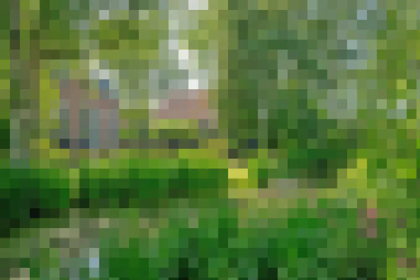 Ruigekade 1 Leiderdorp thumbnail 56