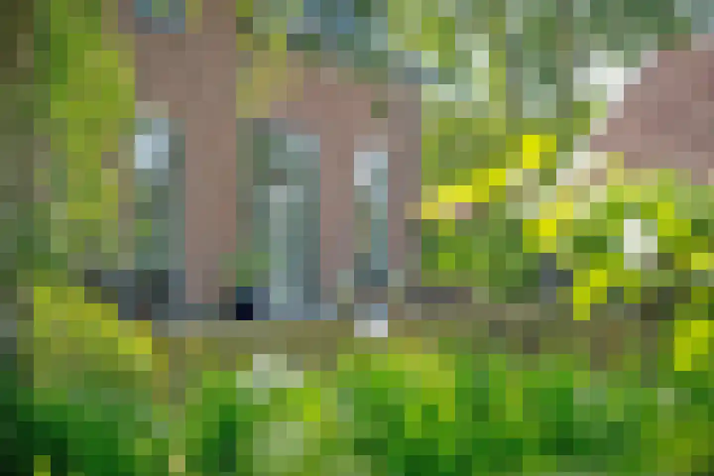 Ruigekade 1 Leiderdorp thumbnail 58